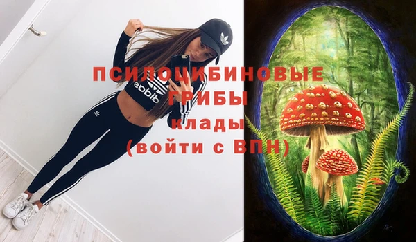 ALPHA PVP Красноперекопск