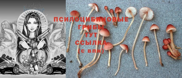 MDMA Premium VHQ Краснослободск