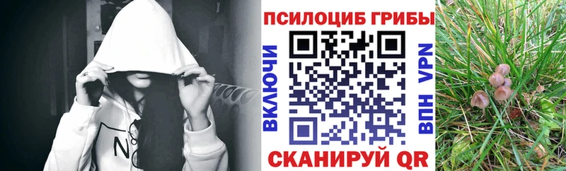 Галлюциногенные грибы мухоморы  Купить где  Белово 